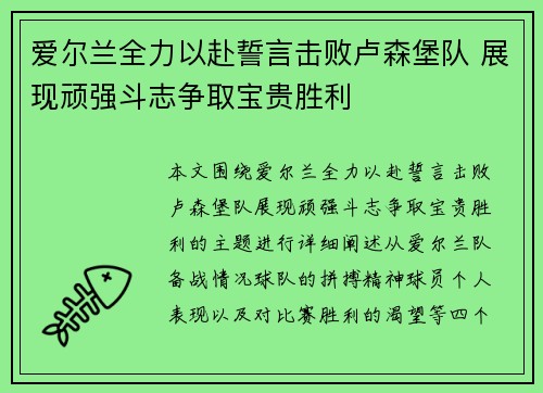 爱尔兰全力以赴誓言击败卢森堡队 展现顽强斗志争取宝贵胜利